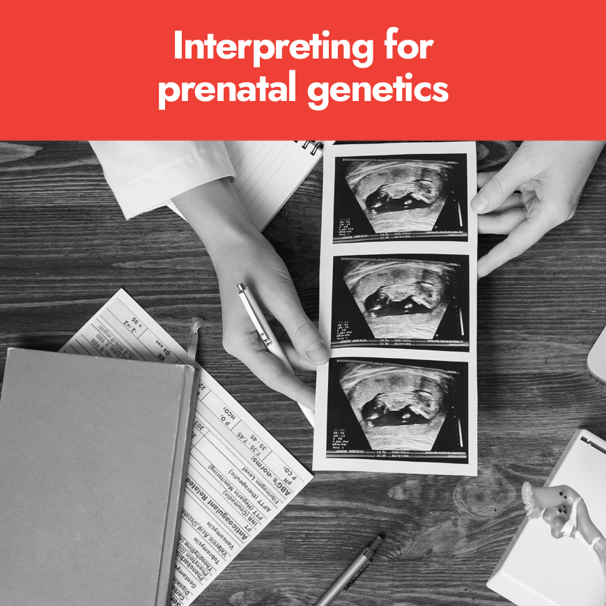 Interpreting for prenatal genetics