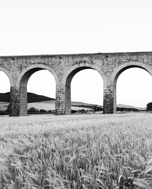 large field with arched bridge